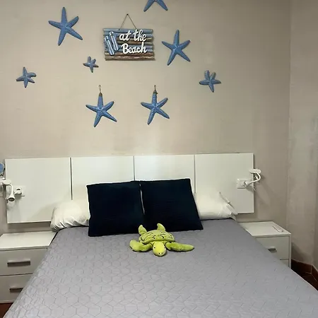 Casa Tortuga 1era Linea De Playa Apartamento