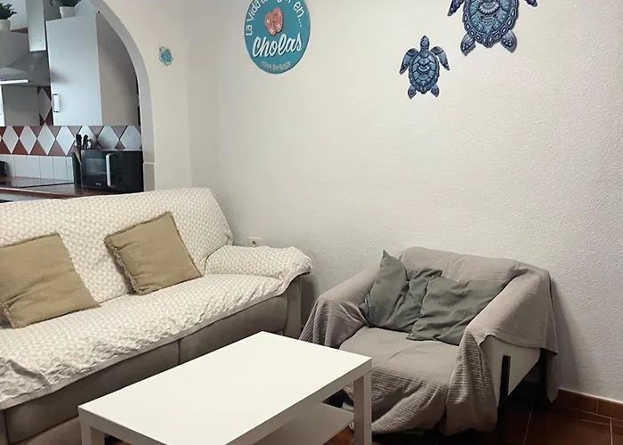 Casa Tortuga 1era Linea De Playa Apartamento